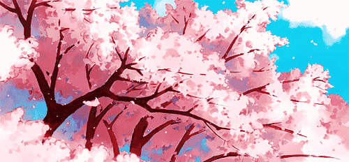 1582190595789448.gif 2.gif