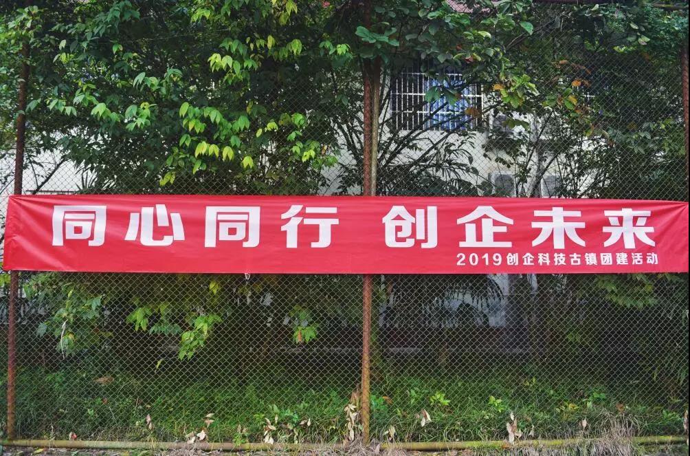 1596015077907507.jpg 3.jpg